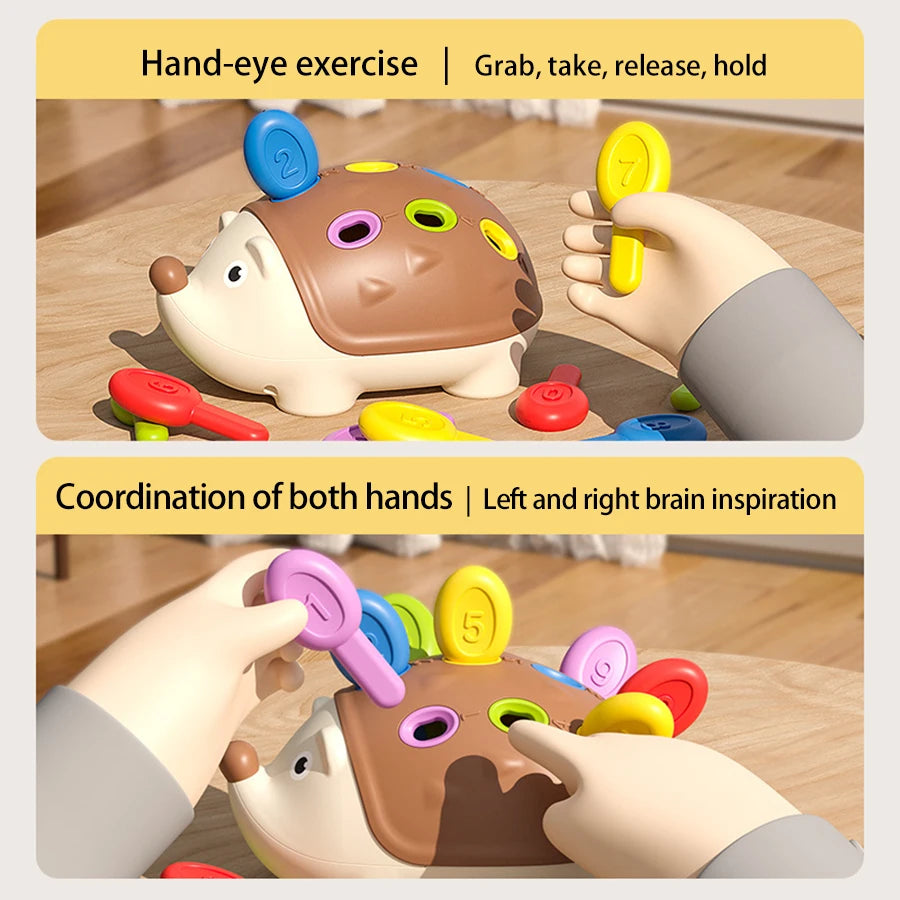 Montessori Hedgehog Toys Baby Concentration Training Education Toys Fine Motor Sensory Educational Toy for Kids Birthday Gifts