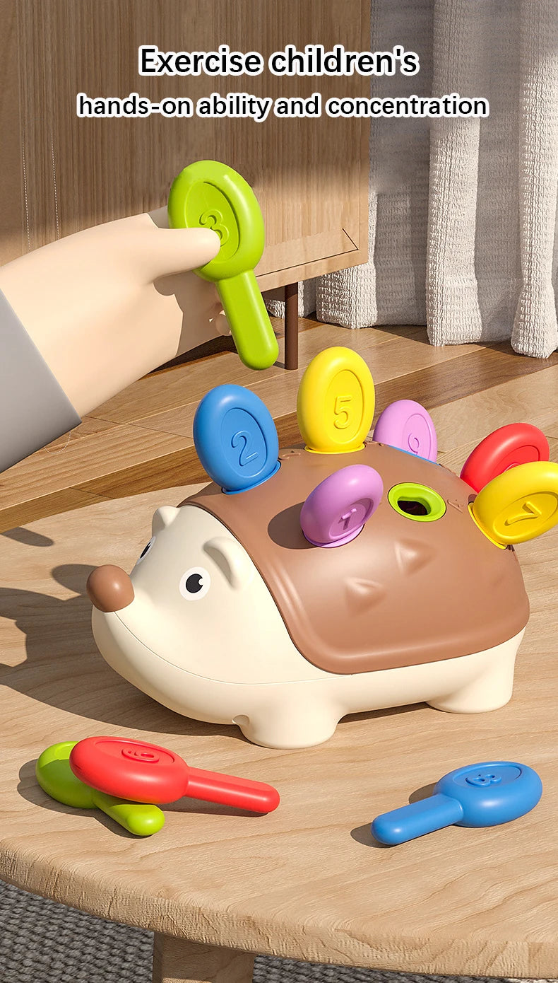 Montessori Hedgehog Toys Baby Concentration Training Education Toys Fine Motor Sensory Educational Toy for Kids Birthday Gifts