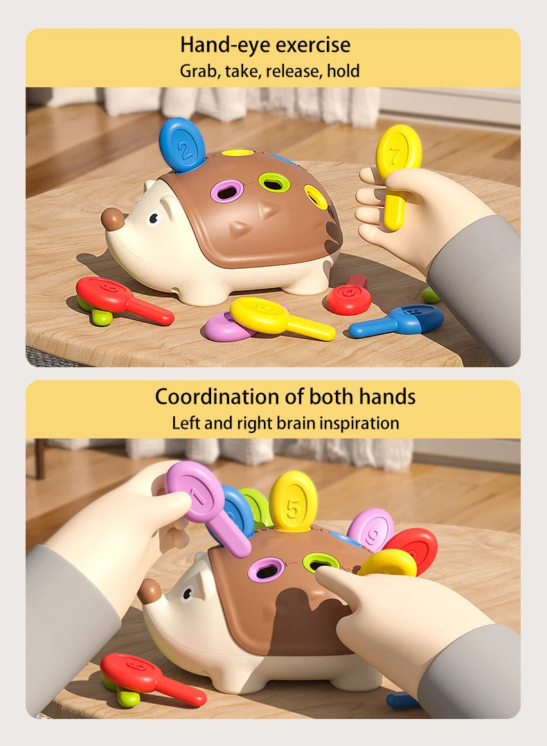 Montessori Hedgehog Toys Baby Concentration Training Education Toys Fine Motor Sensory Educational Toy for Kids Birthday Gifts