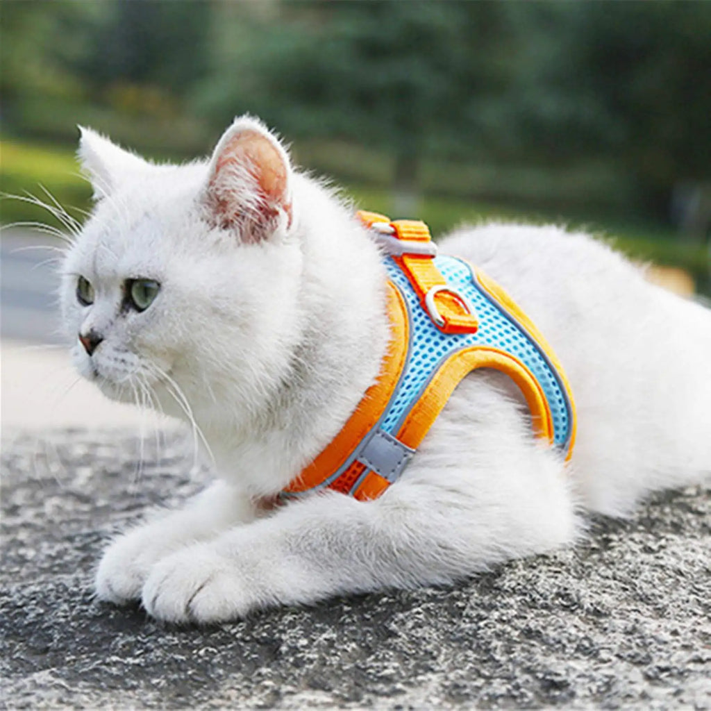 Dog Harness Reflective Pet Harnesses And Leashes Set Adjustable Pet Harness for Small Dogs Cats Pug Chihuahua Dog Accessories