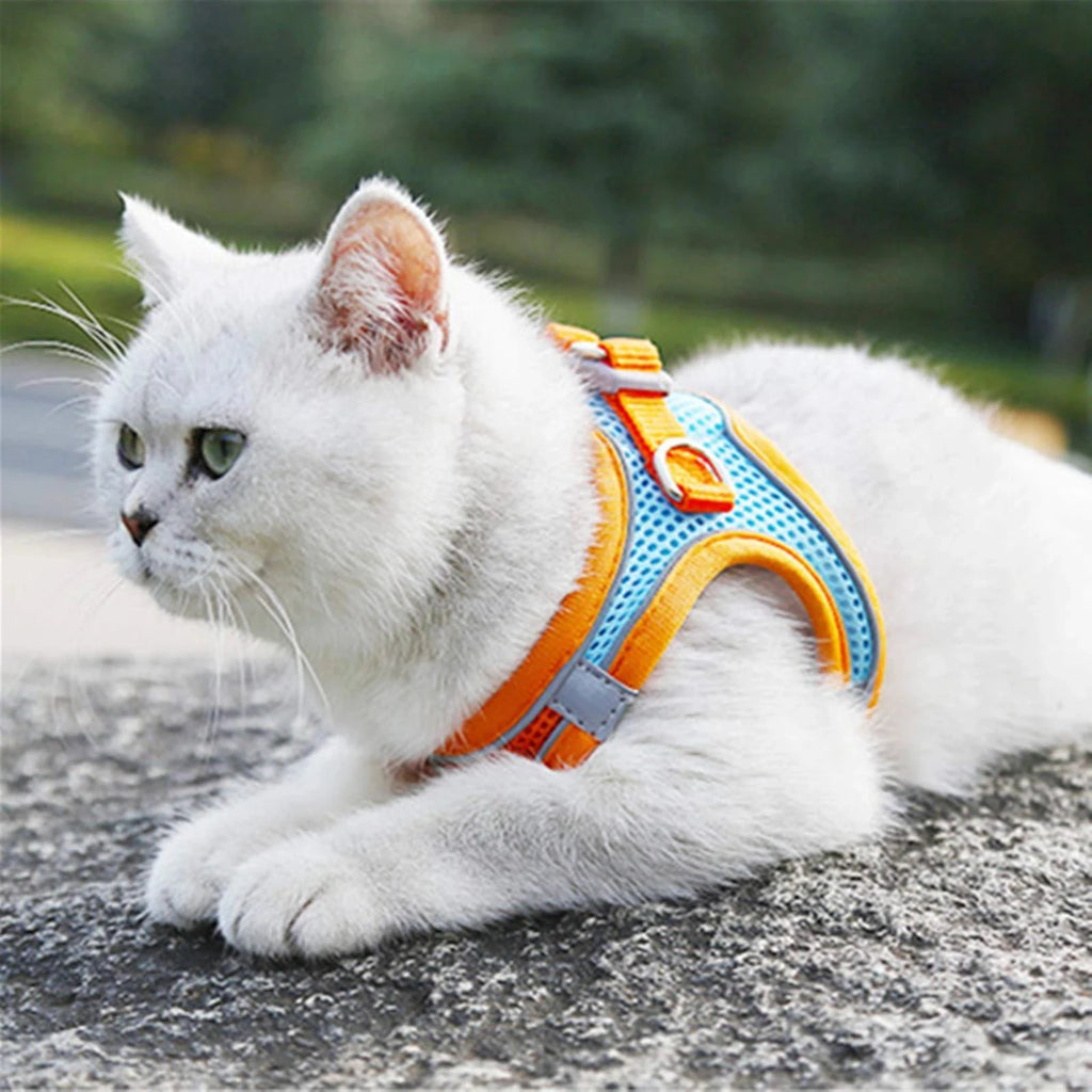 Dog Harness Reflective Pet Harnesses And Leashes Set Adjustable Pet Harness for Small Dogs Cats Pug Chihuahua Dog Accessories